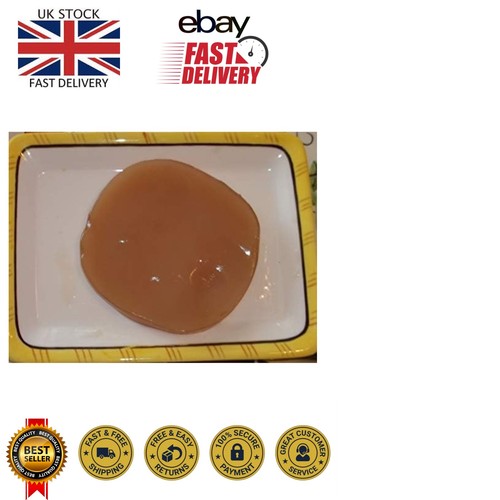 Kombucha tea culture large - tea,