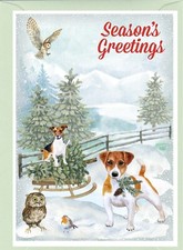 Jack Russell Terrier Dog A6