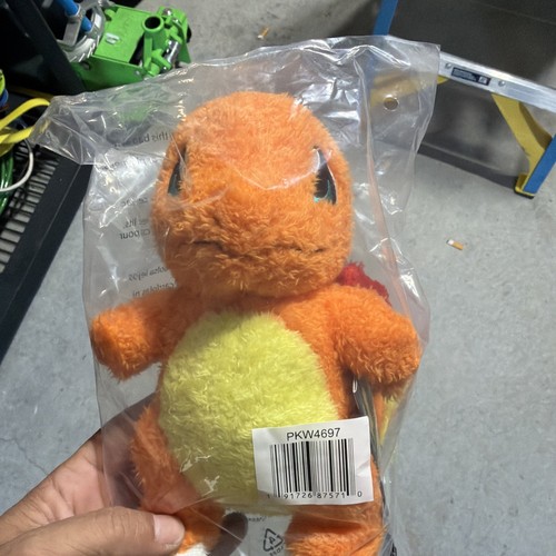 Pokémon 2025 charmander - pokÉmon,