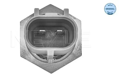 Intake air temperature sensor - temperature,