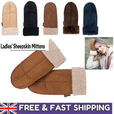 Women's Ladies Classic 100%