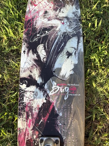 2010 arbor bug - 2010’s,