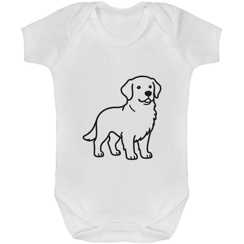 Golden retriever baby - grow, /