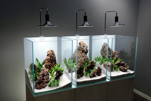 Cube fish tank - cube,
