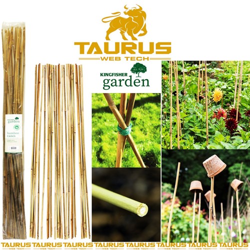 Bamboo canes garden 120cm - x,