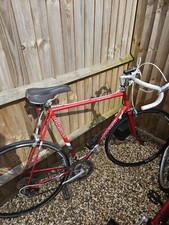 raleigh bikes used