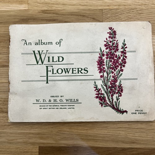 Album wild flowers - wild,