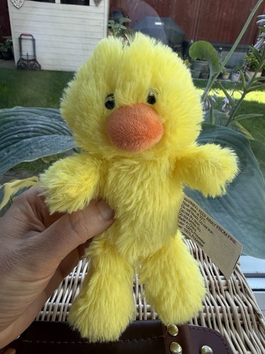 Easter chick chicken - chicken, mini