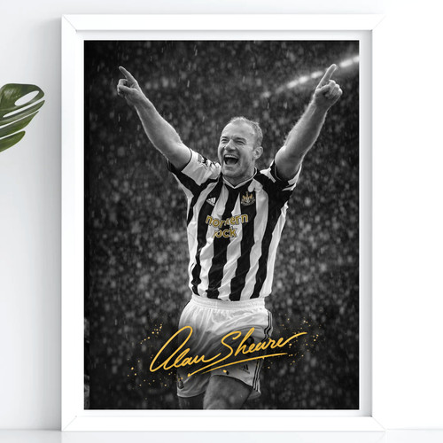 Newcastle fan football - a3,