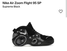 Size 9 - Nike Air Zoom Flight