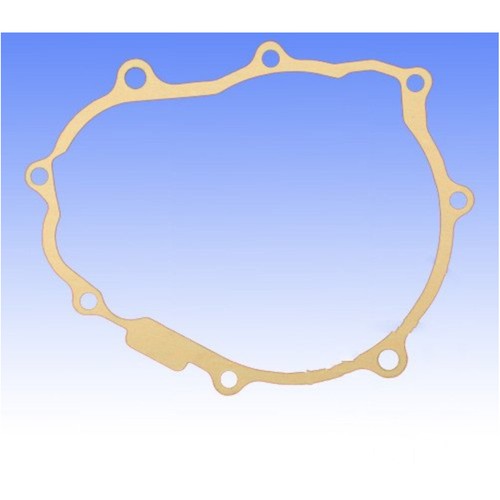 Generator side gasket for gas