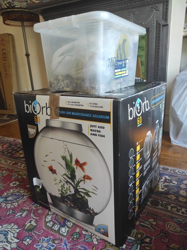 Lor biorb aquarium fish - lor,