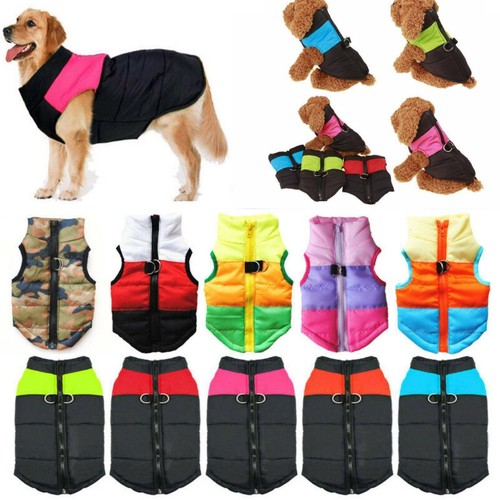 Pet dog vest - pet,
