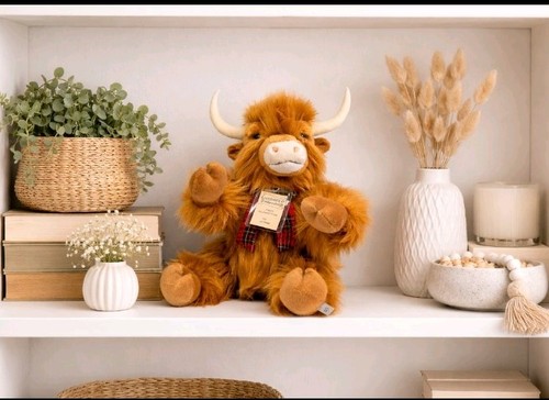 Angus the highland - the,