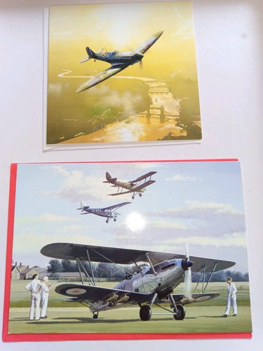 1980 collectable raf - 1980's,