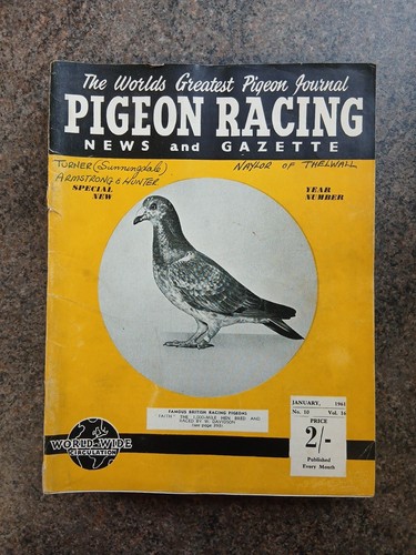 Rare complete 1961 pigeon - complete,