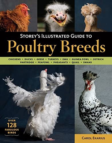 Storey illustrated guide to - illustrated,