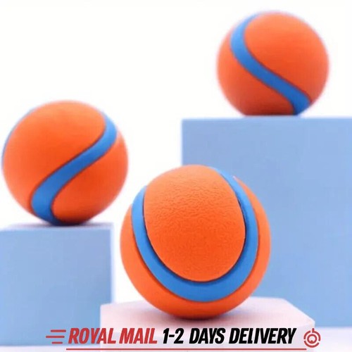 Pack rubber dog balls - pack, /