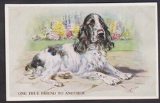 C1950 MABEL GEAR  POSTCARD #3272 'ONE TRUE FRIEND TO ANOTHER' COCKER SPANIEL