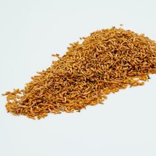 FREEZE DRIED SIBERIAN SHRIMP GAMMARUS, TURTLE & TERRAPIN FOOD AQUARIUM FISH FOOD