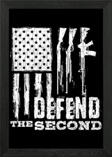 Defend The 2nd Amendment P