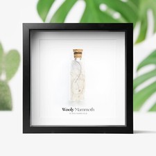 Woolly Mammoth Hair Fur Box