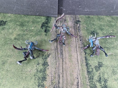 Slaangor fiendbloods hedonites - slaangor,
