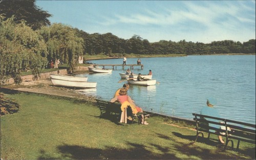 Vintage salmon ltd - salmon,