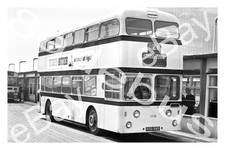 Bus Photograph SHEFFIELD C.T