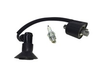 Compatible with Quadzilla 100cc quad Ignition coil & spark plug, brand New parts
