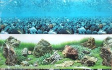 12" Double Sided Aquarium