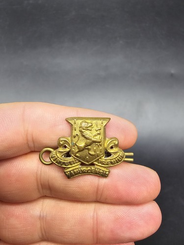 Original royal irish regiment - royal,