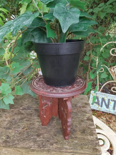 Small teak anglo - 6",