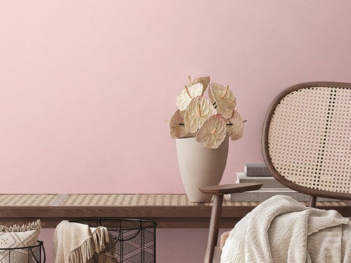 Non woven wallpaper - non-woven, solid