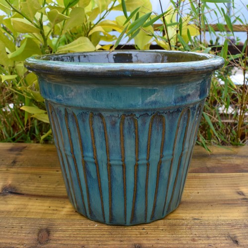 Plant pot ceramic - plant,