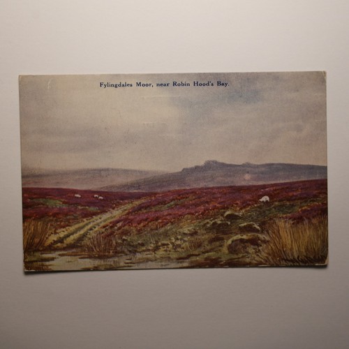 Fylingdales moor near robin - near,