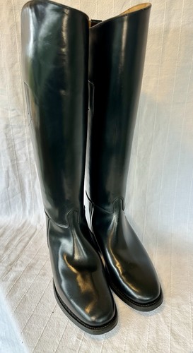 New regent showing riding - showing,