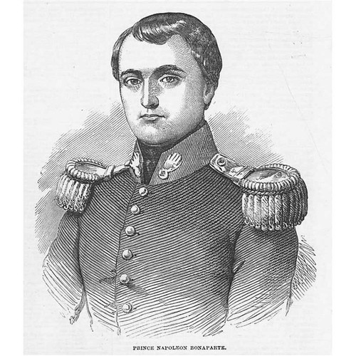 Prince napoleon bonaparte - prince,