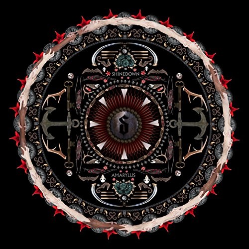 Amaryllis - ,