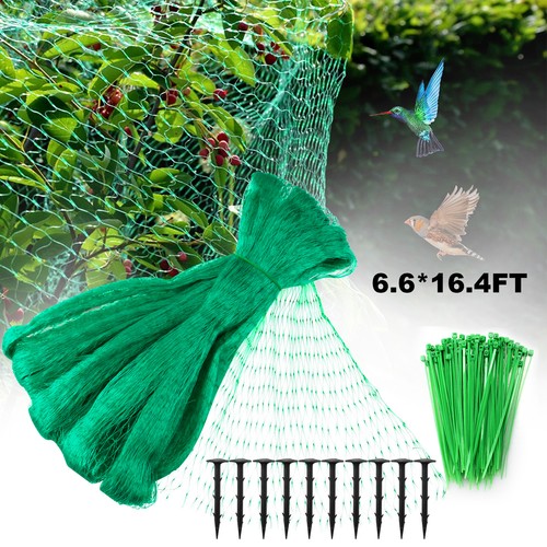 Plant climbing protective - plant,