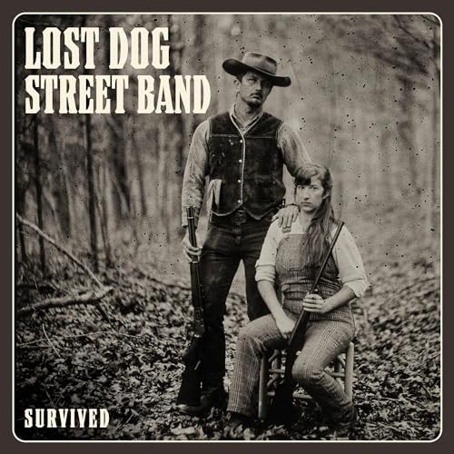 Lost dog street band - band,