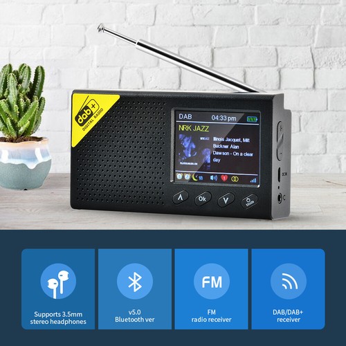 Portable dab digital - dab+,