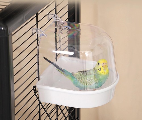 Ningvihe bird bath for - ningvihe,
