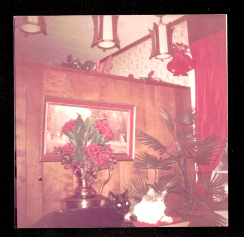 Vintage photograph two - photograph,