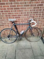 Raleigh Competition 531 12