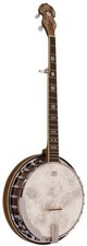 Barnes and Mullins Banjo 5