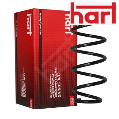 Front coil spring - coil, x1