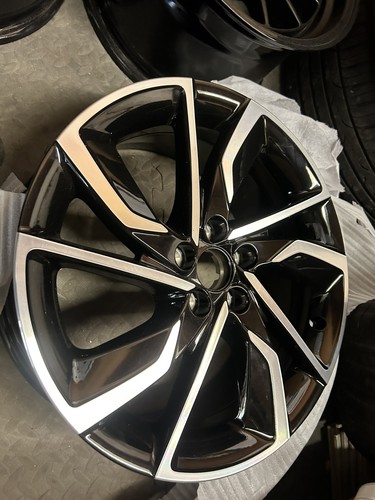 Genuine trophy 18 - genuine, zs