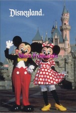 Walt Disney Postcard -