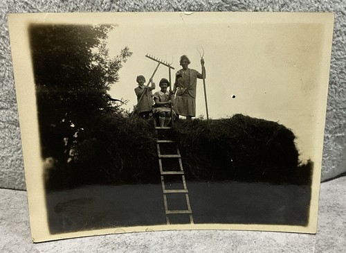 1930 photo ireland turf - 1930’s,